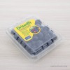 ฺBlueberries