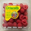 Rasberries