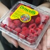 Rasberries