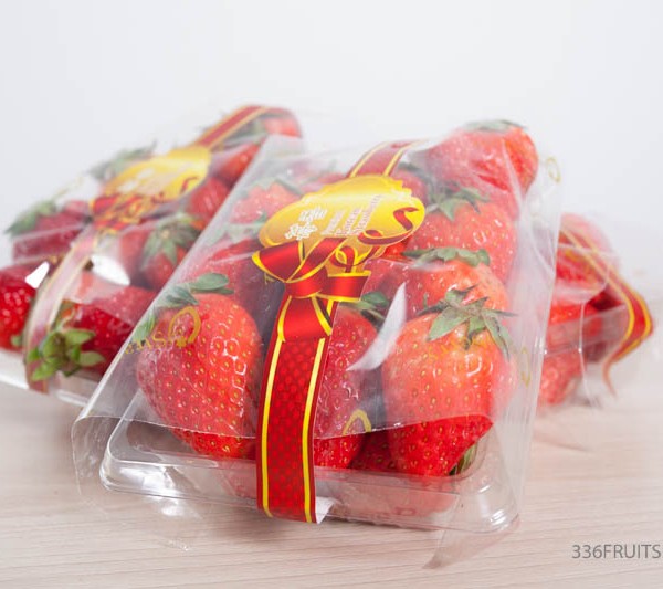 strawberry Korea