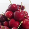 Cherries